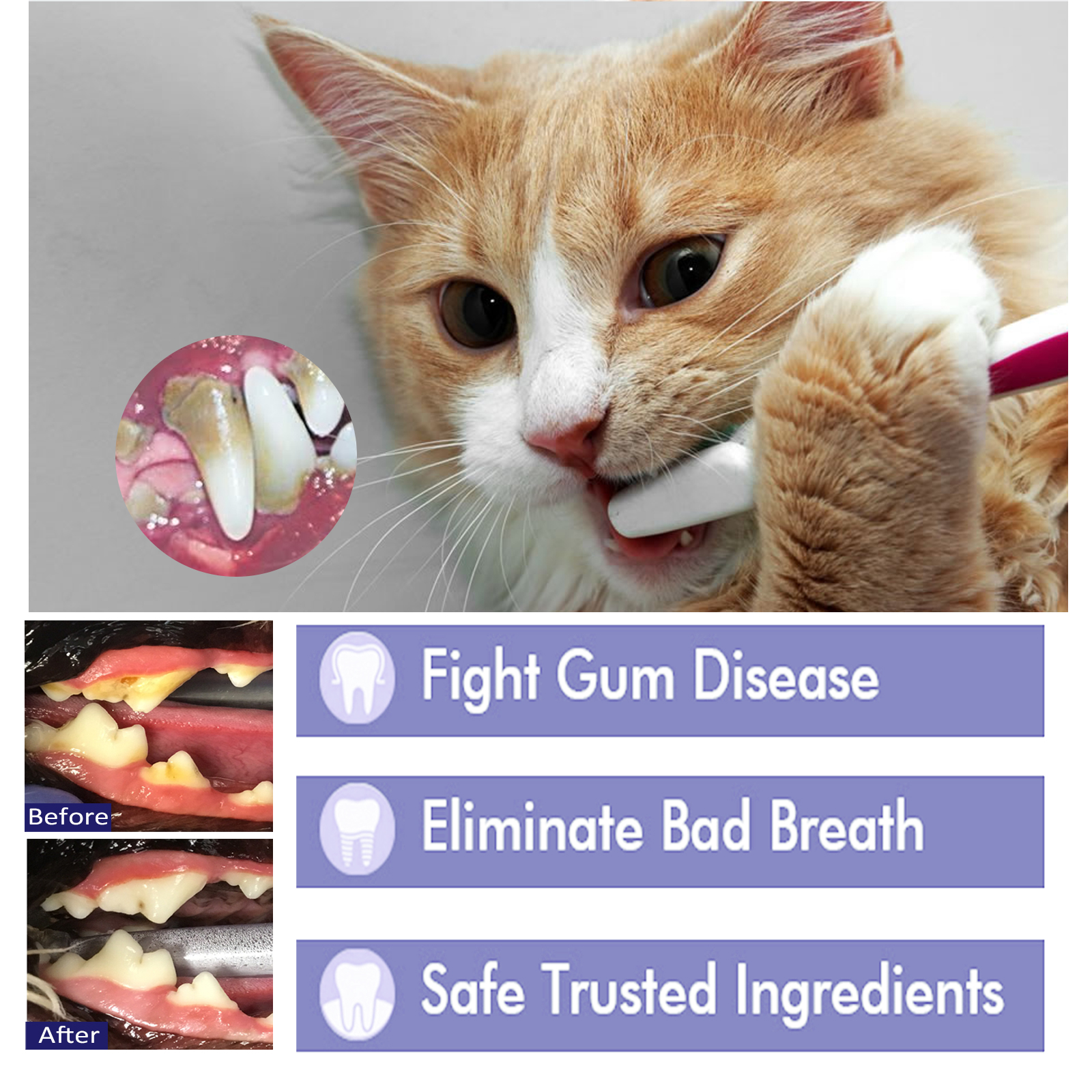 Pet Toothpaste Reduce Tartar R - đánh giá và giá Teeth Whitening Toothpaste