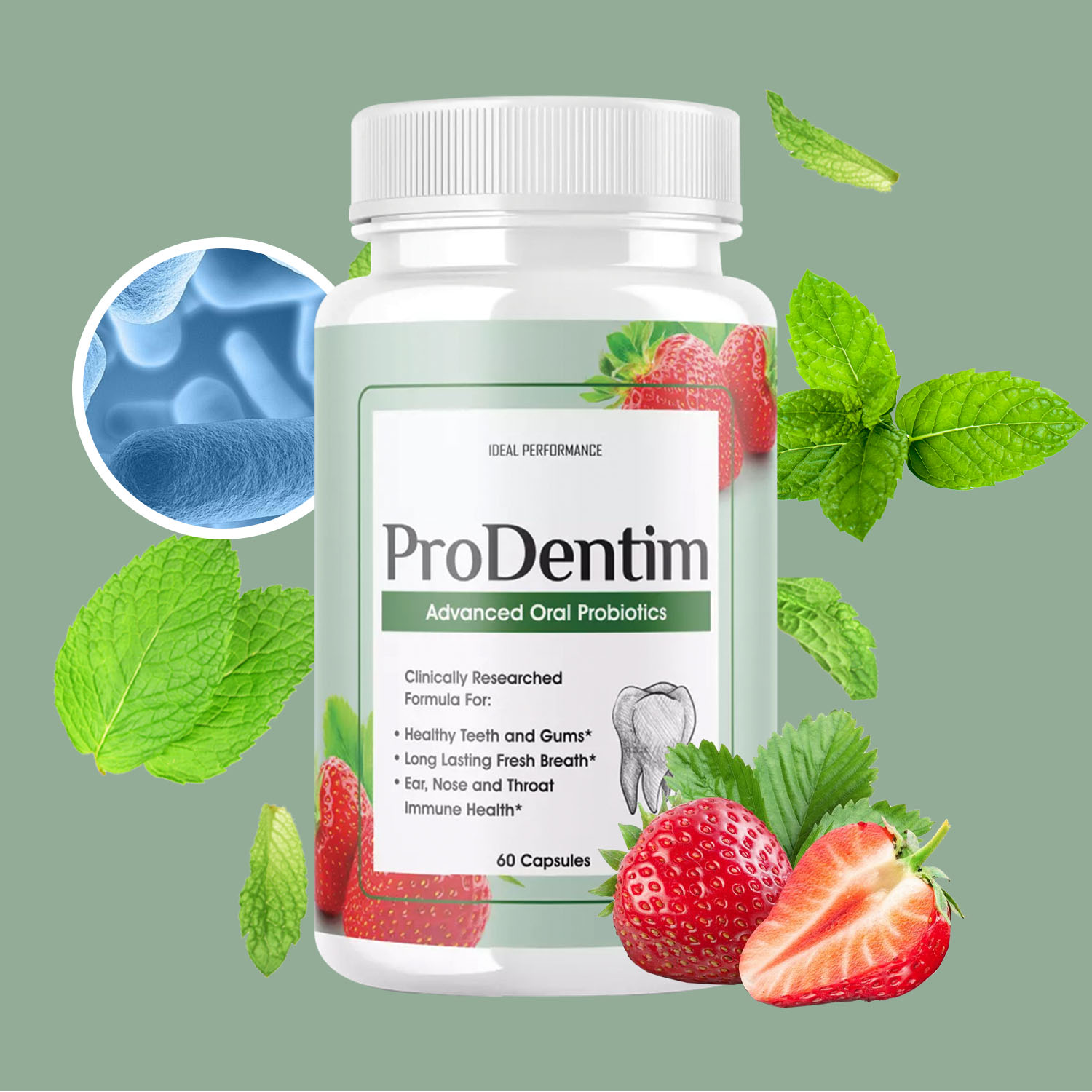 Advanced Oral Probiotics - Fre - đánh giá và giá Teeth Whitening Gum