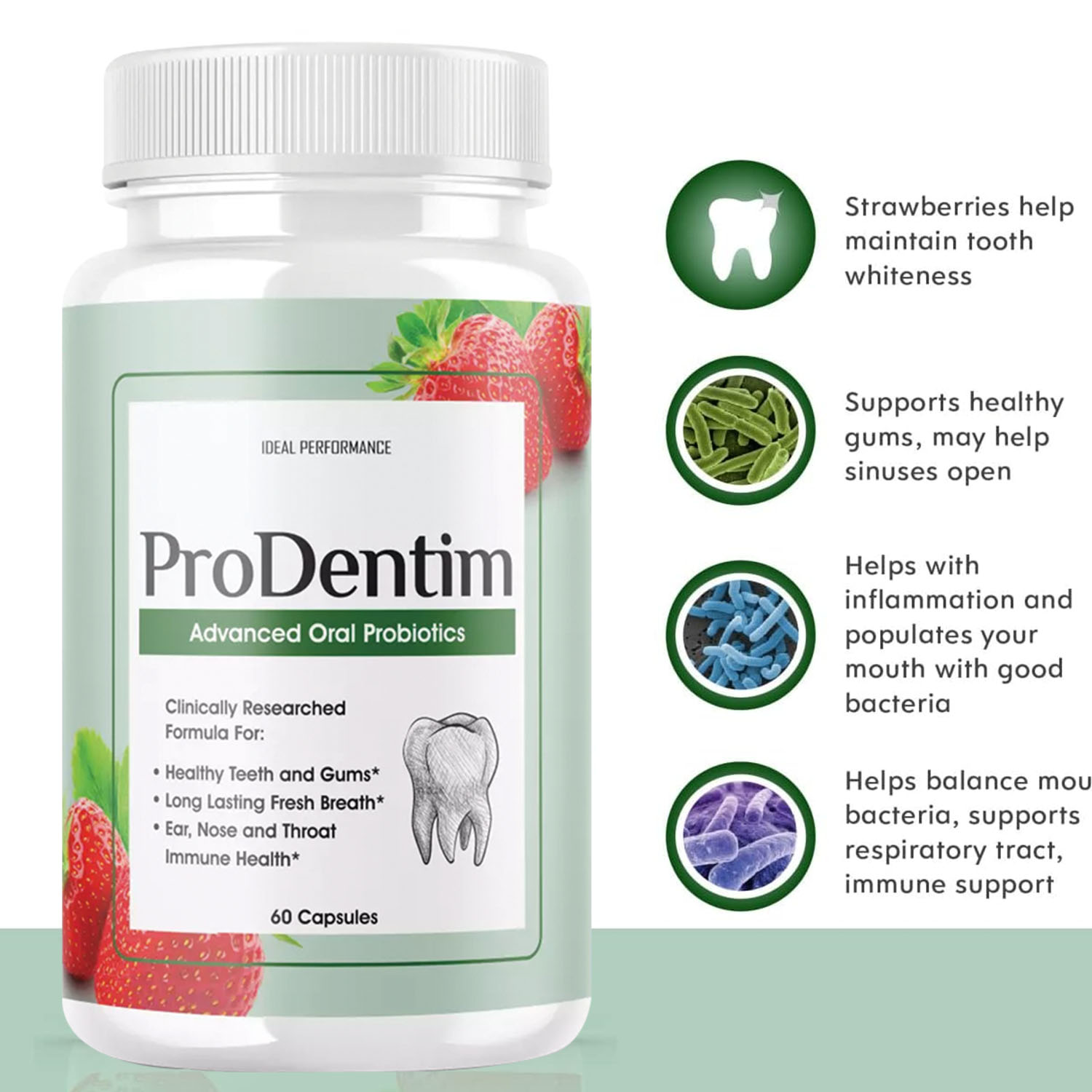 Advanced Oral Probiotics - Fre - đánh giá và giá Teeth Whitening Gum