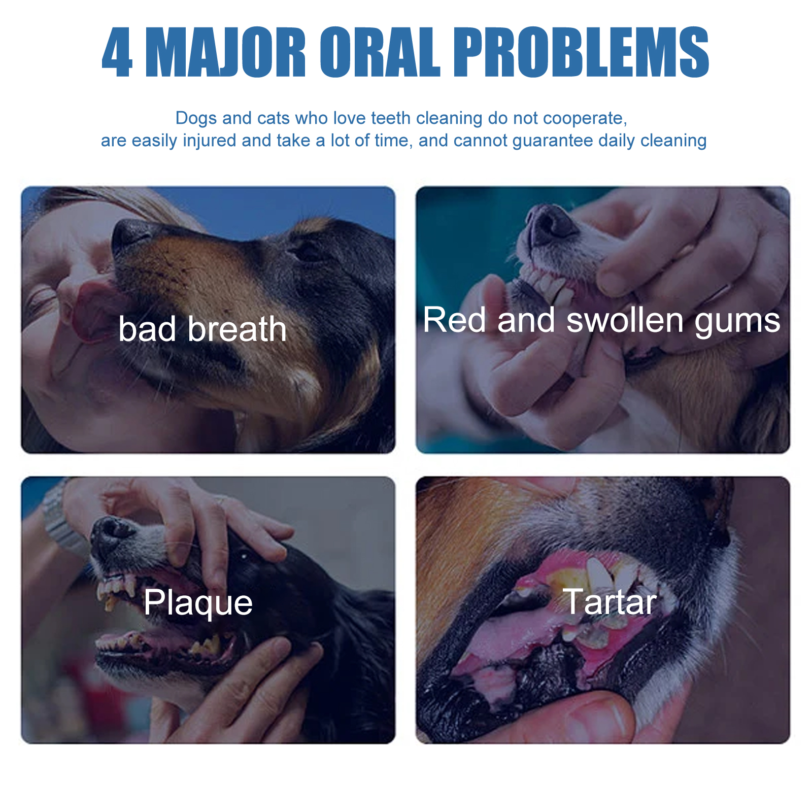 Yegbong Pet Tartar Remover Cle - đánh giá và giá Teeth Whitening Yellow Teeth